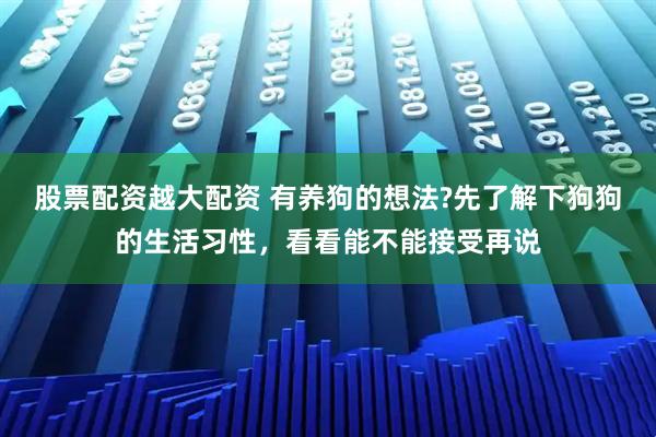 股票配资越大配资 有养狗的想法?先了解下狗狗的生活习性，看看能不能接受再说