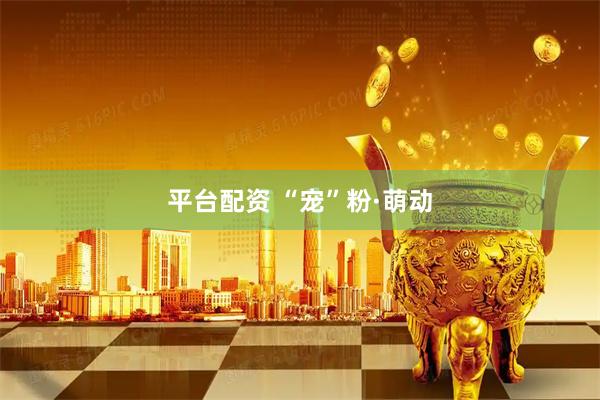 平台配资 “宠”粉·萌动